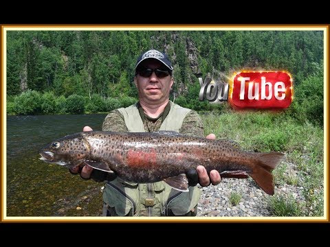 РЫБАЛКА . АГУЛ .ИЮЛЬСКИЙ ПОХОД . VOVAN - ФИЛЬМ.