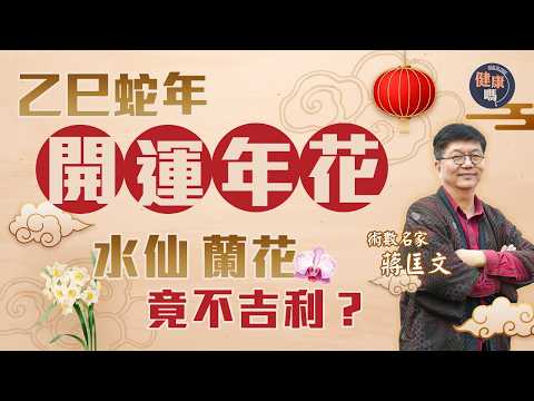 新春選對年花好運一整年｜3種常見年花竟不吉利？大部分人都買錯花了！｜年花預示全年運程 最忌年頭花凋謝 蔣匡文教你一招延長花期｜健康嗎‪@HealthCodeHK 【新年健康運】#2025 #年花
