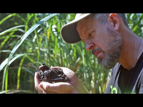 Recreating Terra Preta: The Search for Ancient Composting Secrets