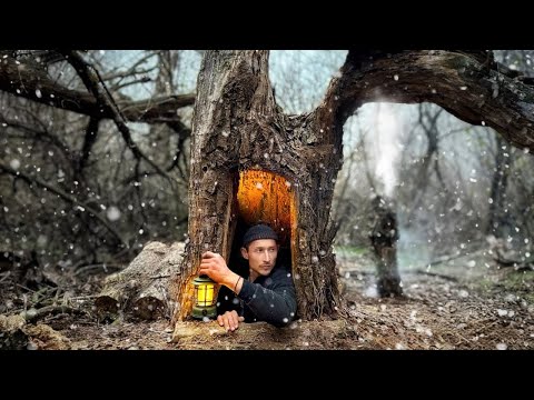 Building of a Secret and Warm Shelter Inside a Giant Tree | Bushcraft