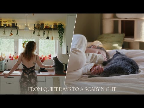 A Quiet Week That Turned Into a Nightmare