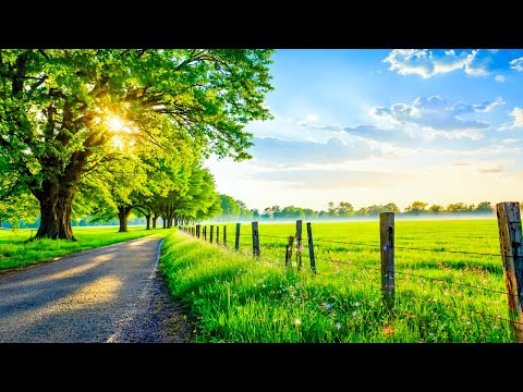 Music heals the heart and blood vessels🌿 Soothing music restores the nervous system, relaxing #2