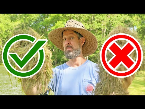 What is the BEST mulch for your garden? (Avoid the one that KILLS EVERYTHING)