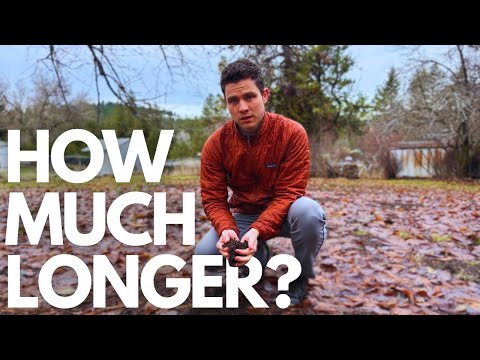 The Soil Crisis Nobody Talks About