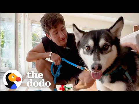 Barry Keoghan Goes On a Dodo Dream Date | The Dodo