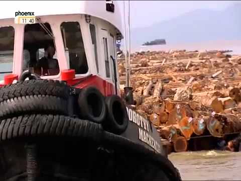 Leben auf dem Fluss Reportage über Kanadas letzte Flößer