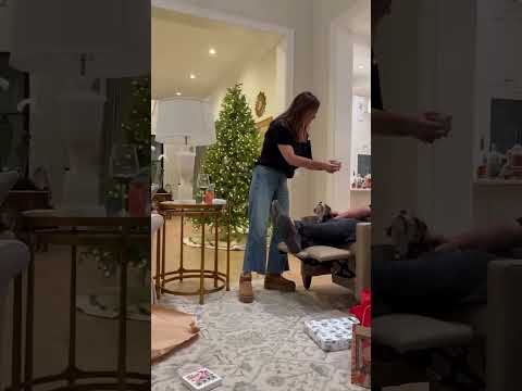 Pranking Dave (Anthro Rock)