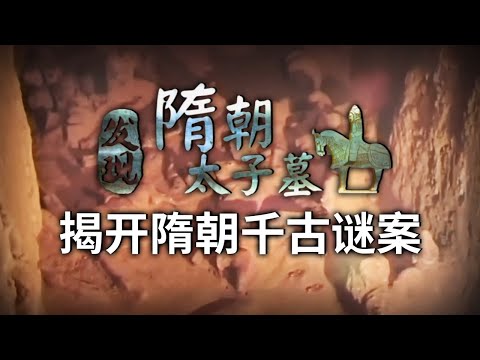 永存史册的超级大墓 隋朝太子墓发现！揭开一个关于隋朝千古谜案！——隋朝太子墓特辑 丨 中华国宝