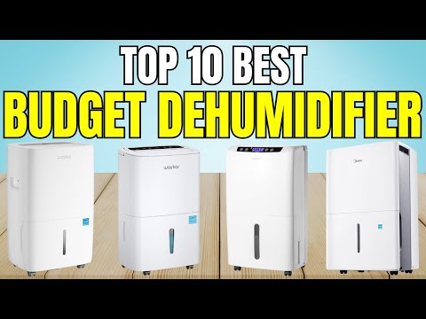 Best Budget Dehumidifier – Must Watch Before You Buy One!