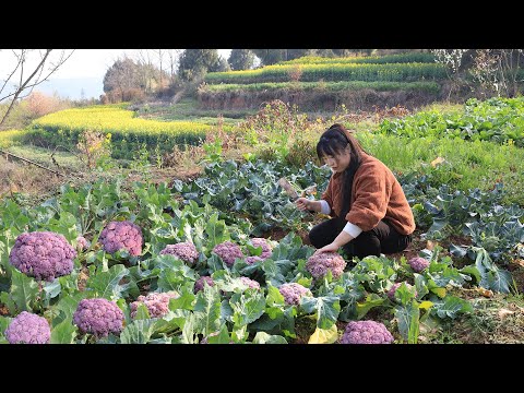 This Meal Started with a Cauliflower in the Dirt【Yuxioxiang】