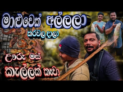 මාළු අල්ලලා දුම් කරවල හදලා ඌරු මස් එක්ක සුපිරි කෑමක්‌ 🤤🐘| @travelwithsidney | Vlog 62