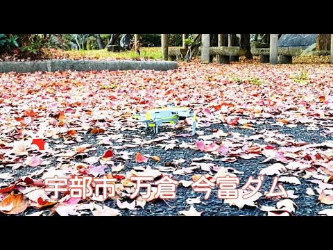 夕暮れの今富ダム～秋 (山口県宇部市今富)