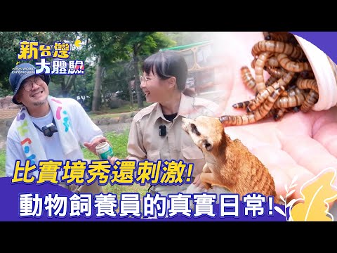 【新台灣大體驗】比實境秀還刺激！動物飼養員的真實日常！｜廖慶學 2025.08.30 完整版