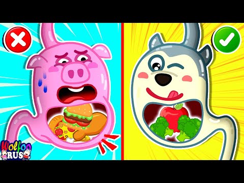 Здоровая еда против вредной еды — не переедайте! | Здоровые привычки Wolfoo | Wolfoo Russian