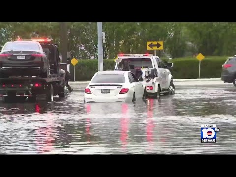 Miami residents can use new app to report flooding problems