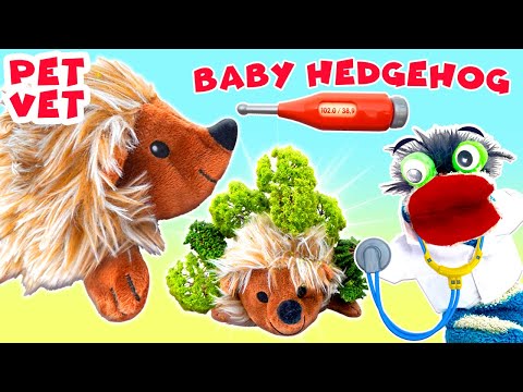 Fizzy The Pet Vet Helps Papa And Baby Hedgehog | Fun Videos For Kids