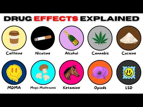 Every Drug & It's Effect Explained in 17 Minutes