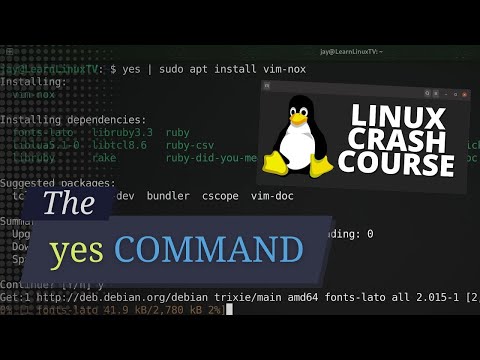 Learn the yes Command in Linux – Complete Beginner’s Guide