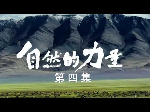 The Power of Nature Episode4