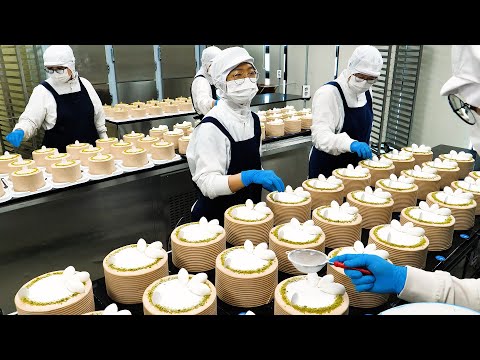 30분 순삭! 한국 케익공장의 생크림케익 대량생산 몰아보기 oddly satisfying cake making in cake factory - korean street food