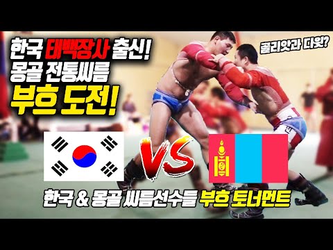 한국전통 씨름 vs 몽골씨름 이번엔 전통몽골씨름 부흐로 붙는다!!(부산갈매기씨름단&몽골씨름단 친선교류전)Korean wrestler vs Mongol wrestler fight!