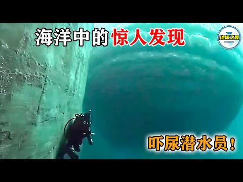 吓尿潜水员！绵延数公里的巨型物体正在海底移动！15个最惊人的海洋发现，每一个都让人惊掉下巴！丨地球之最#冷知识 #排名 #世界之最