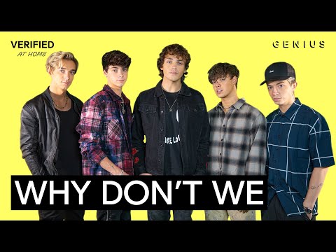Why Don't We "Fallin' (Adrenaline)" Official Lyrics & Meaning | Verified