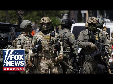 Illegal immigrant puts $10k hit on ICE officers: 'They should be doxxed'