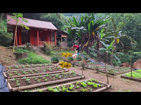 Gardening. Harvest bananas and onions and bring them to the district market to sell.