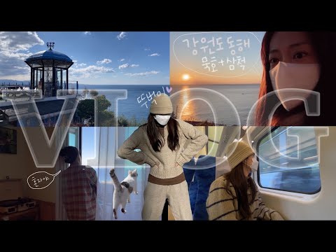 강원도 동해시 묵호/삼척 2박 3일 뚜벅이 혼자 여행🌵 영화 봄날은간다 촬영지⭐️ 묵호맛집/오션뷰카페/논골길 벽화마을/묵호등대 일출.. 천천히 풍경따라 흐르는 시간.