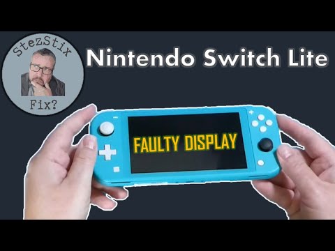 Another Nintendo Switch Lite - this one has no display.  Can I Fix It?