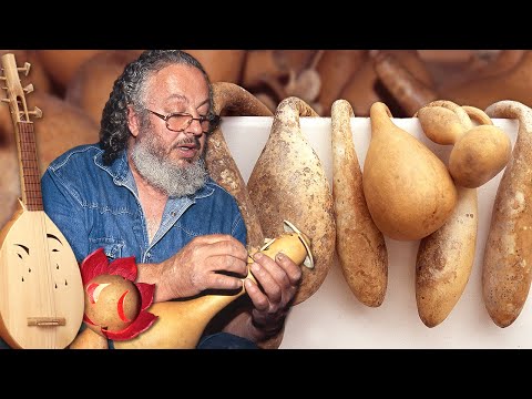 Dried GOURDS and their transformation by hand into lamps, instruments and jugs