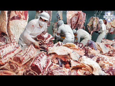 극한직업! 하루 5000팩 초스피드 해체 달인들이 발골하는 한우 가공 공장 / Korean food factory