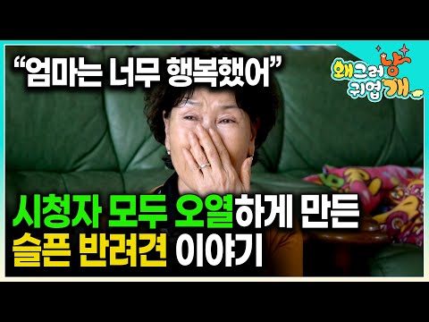 "“엄마랑 다음 생에도 꼭 다시 만나자" 15년 동안 같이 살아온 강아지와 이별을 맞이하기 전 더 행복해져보고 싶었어요｜반려견｜펫로스 증후근｜#왜그러냥귀엽개