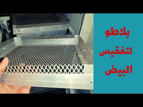 طريقة صنع بلاطو لتفقيس البيض بأقل تكلفة