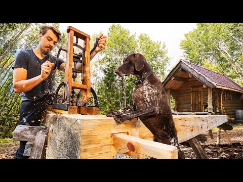Building A Forest Kitchen With My Dog In The Wilderness