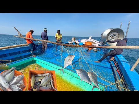Ohh❗LAST 3 DAYS OF FISHING ADVENTURE 💢 COMPILATION VIDEO | MUTHUNAGAR MEENAVAN 