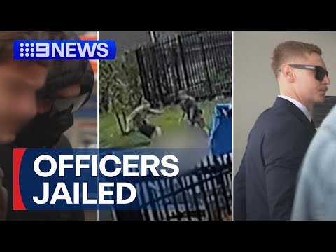 Two ex-police officers sentenced over assault of mentally ill woman | 9 News Australia