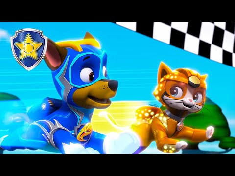 Chase BEATS Wild Cat! 🏁🏆 | Chase Official Channel | PAW Patrol