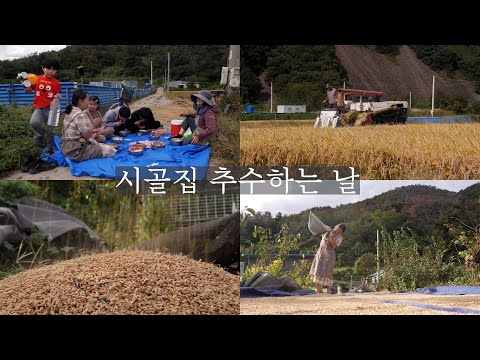 시골집 추수하는 날  | 풍요로운 가을 풍경| 추억 스물 아홉 장