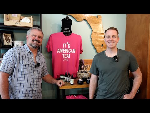 Native Yaupon Holly Tea