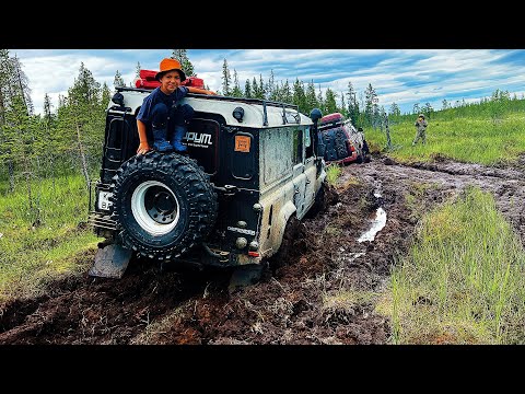 С детьми по болотам. 2 серия.