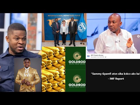Sammy Gyamfi Breaks Silence, Fights Back After IMF Report Alleges $214m Gold Loss. Jabs NPPs Prof..