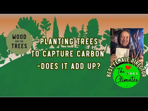 Planting Trees to Capture Carbon - Does it Add Up? Animation Planting Trees for Carbon Sequestration