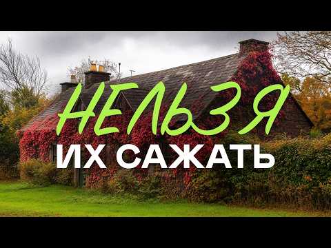 😢🔥ПОСАДИЛ И ПОЖАЛЕЛ! 8 растений которые превратят дачу в АД