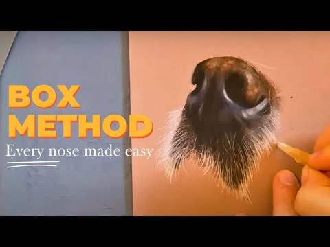 METHOD for drawing dog's nose | Realistic | Pastel Pencils
