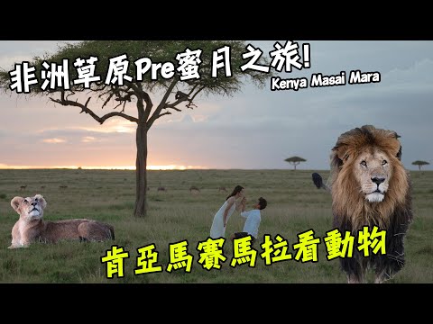 【肯亞】非洲草原Pre蜜月之旅！肯亞馬賽馬拉國家公園找動物囉！ Feat. Maui JIm