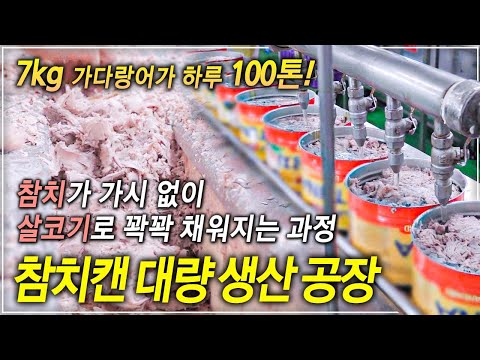 (참치캔은 3개월 뒤에 드세요!) 엄청난 규모 하루 100톤! 가시만 277개 있는 가다랑어가 살코기만 참치캔에 빈틈없이 꽉꽉 채워지는 과정ㅣ참치캔 대량 생산 공장│#골라듄다큐