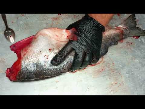 ГОРБУША холодного копчения , провесная в коптильне 