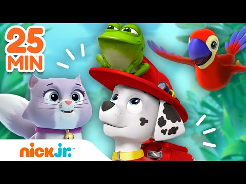 PAW Patrol | Marshalls Tierrettungsmomente! | Nick Jr. Deutschland